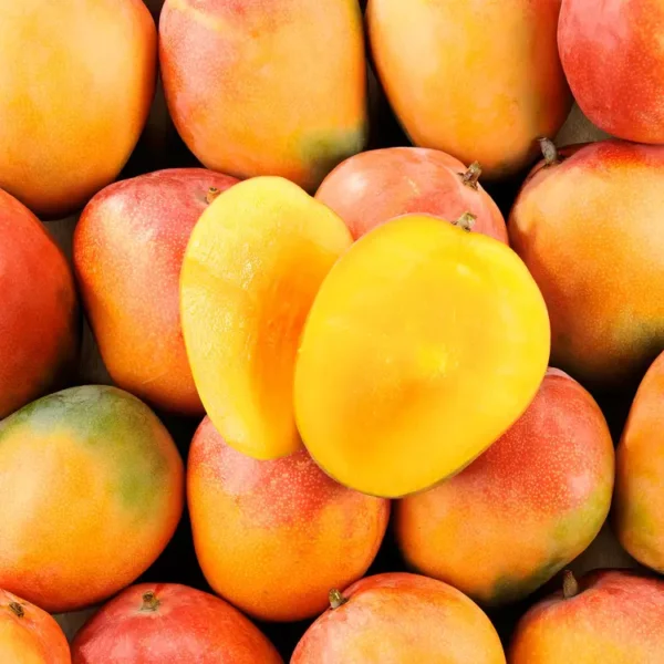 Mangue (Selection)