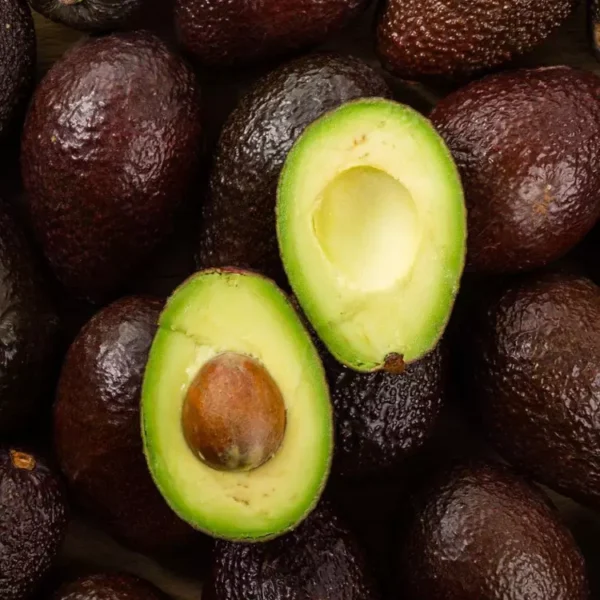 AVOCAT HASS