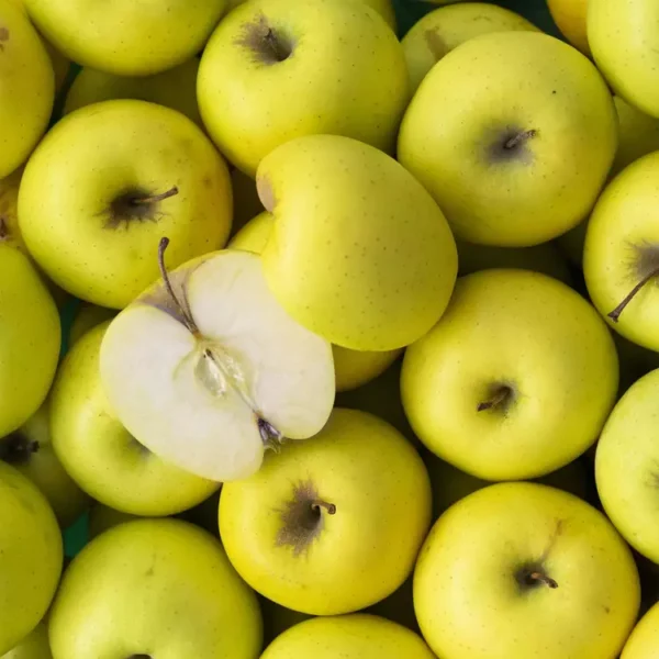 POMME  GALA LOCALE JAUNE