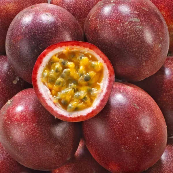 FRUIT DE PASSION