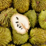 Image du produit précédent