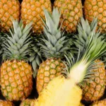 Image du produit suivant