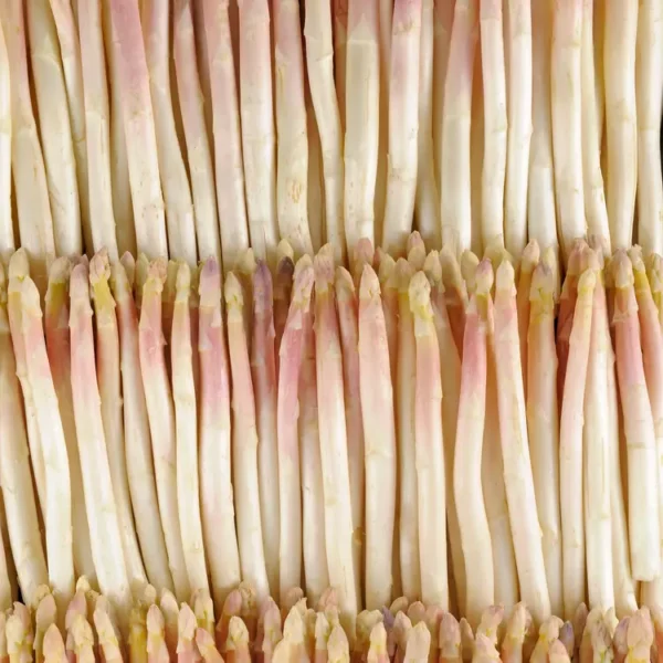 Asperge Blac Import (Copie)
