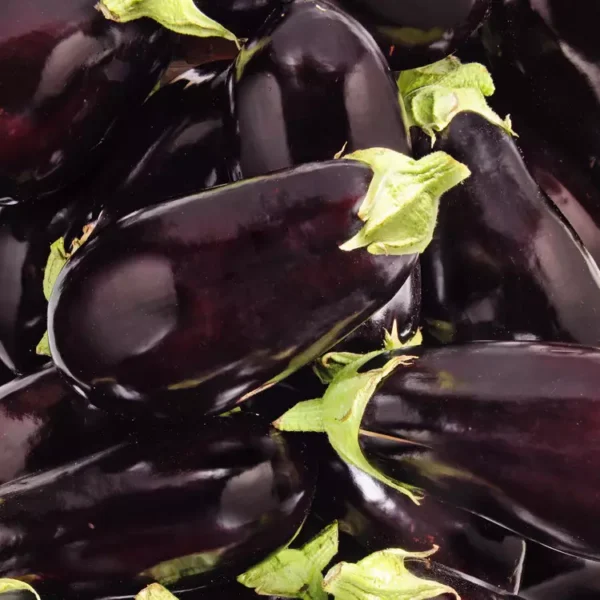 L'Aubergine