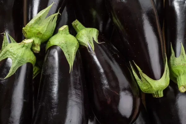 L'Aubergine