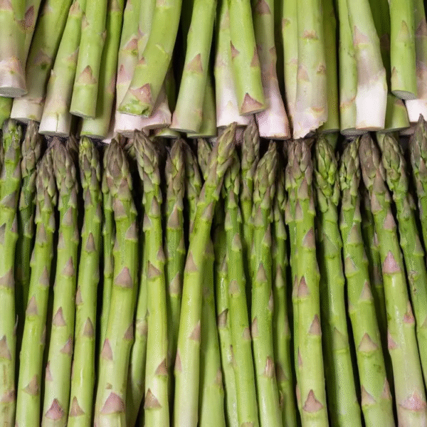 L'Asperge verte