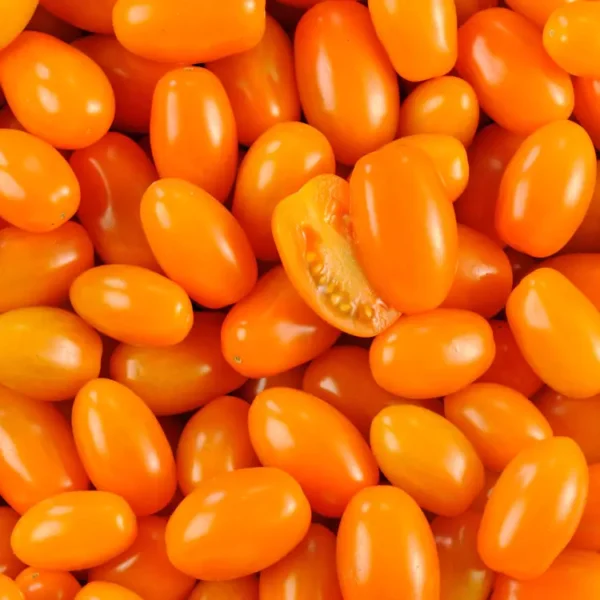 La tomate cerise jaune  (Copie)