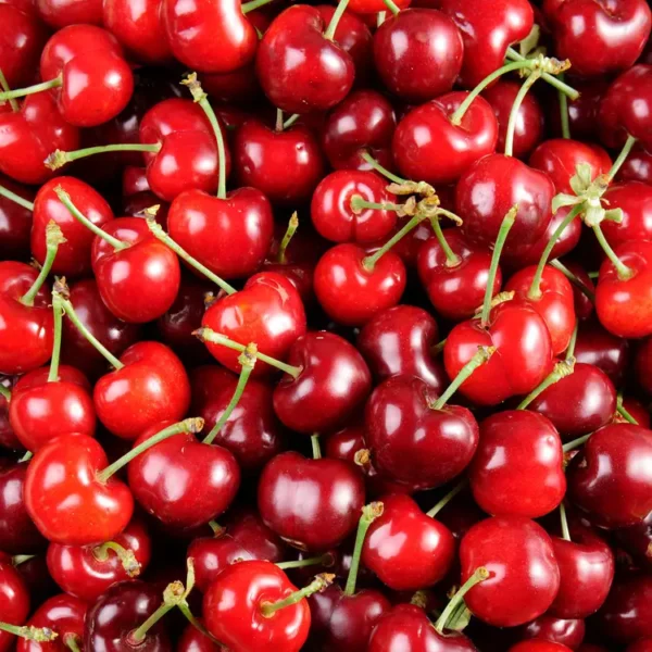 La Cerise