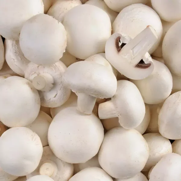 Le Champignon de paris