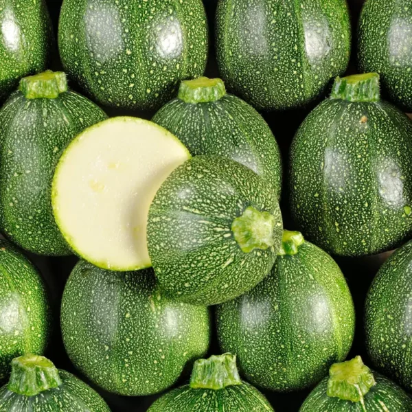 La CourgetteRond