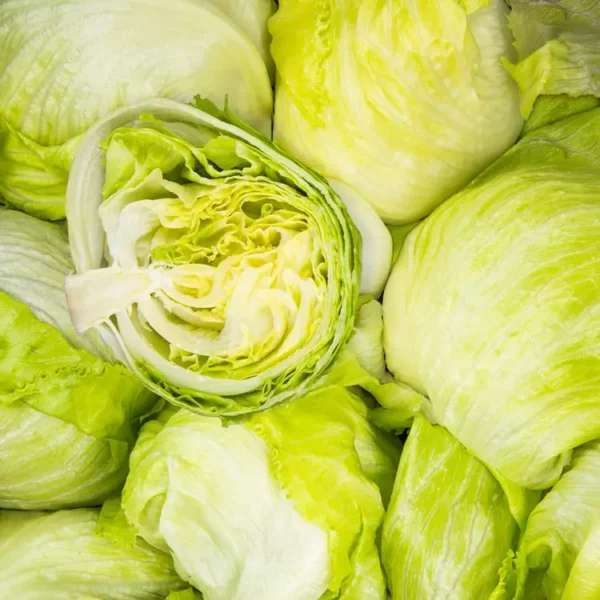 La Salade iceberg