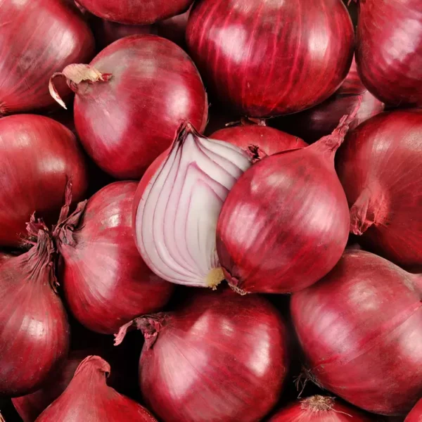 L'Oignon rouge