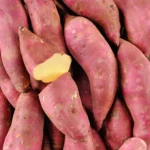 Image du produit suivant
