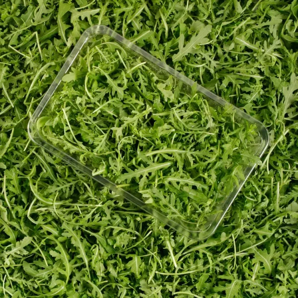 La Roquette