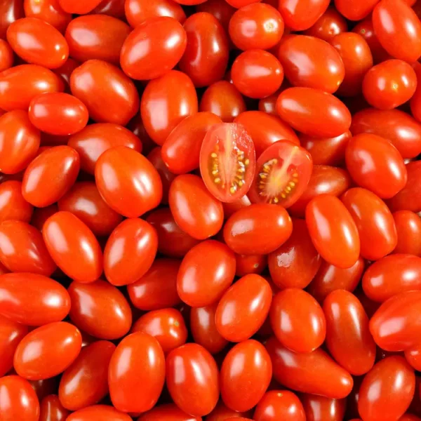 La tomate cerise