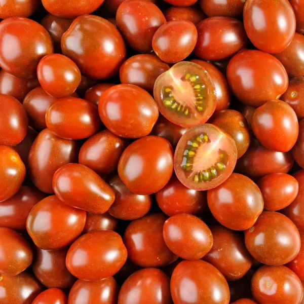 La tomate cerise Noire (Copie) (Copie)