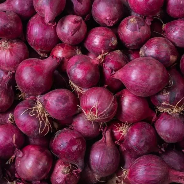 L'Oignon rouge en filet