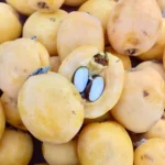 Image du produit précédent