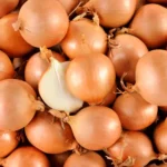 Image du produit suivant