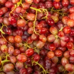 Image du produit précédent