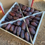 Image du produit précédent