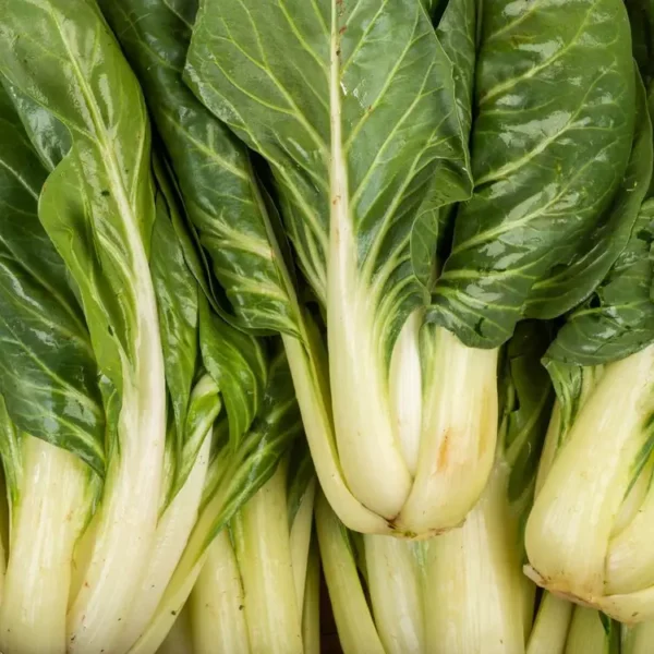 pak choi